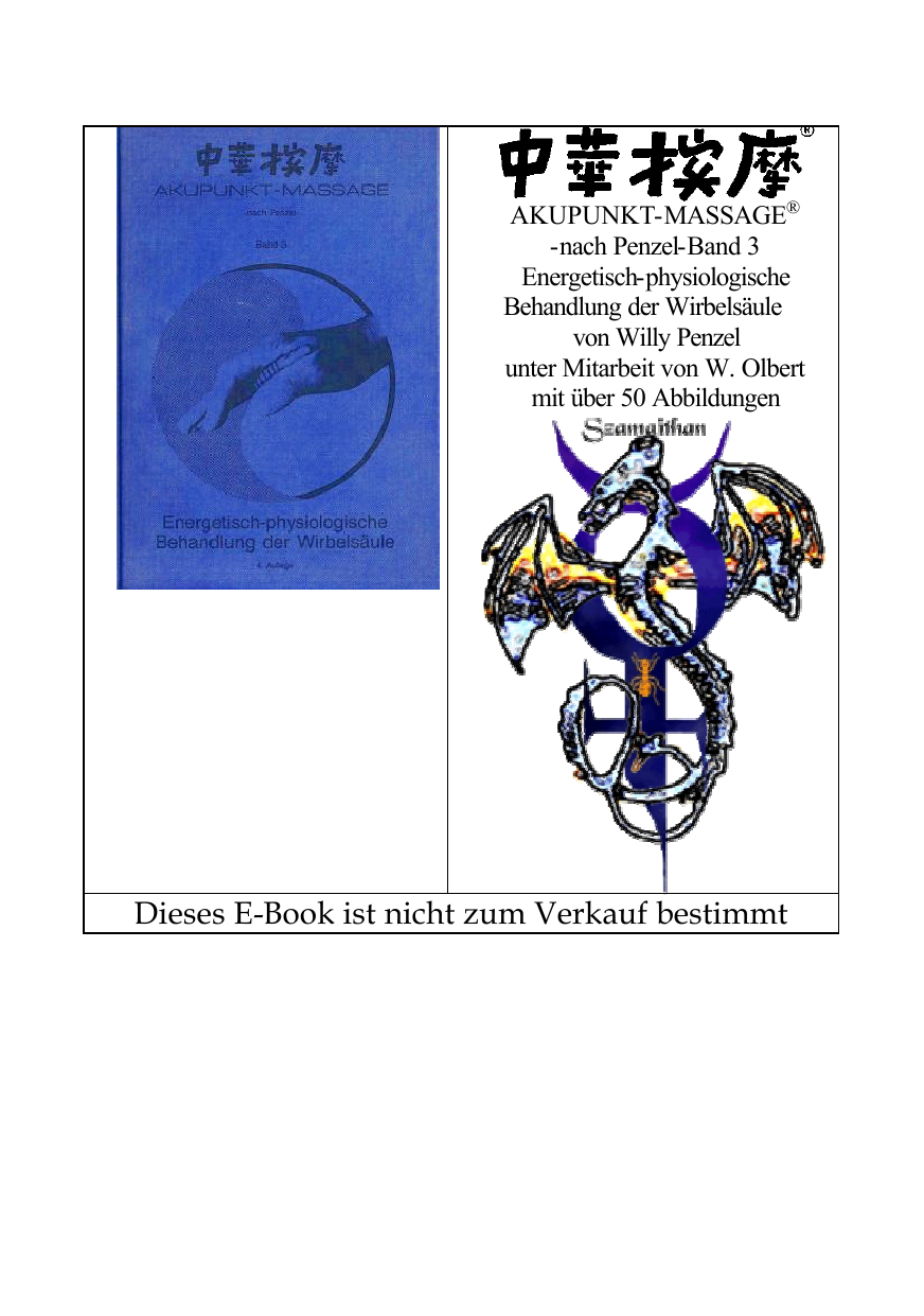 Zhonghua anmo Bd. 3. Die energetisch-physiologische Behandlung der Wirbelsäule / unter der Mitarb. von Waldemar Olbert