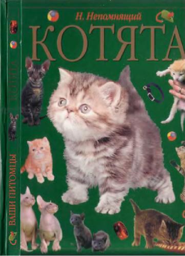 <div class=vernacular lang="ru">Котята /</div>
Koti︠a︡ta