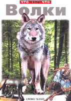 Volki