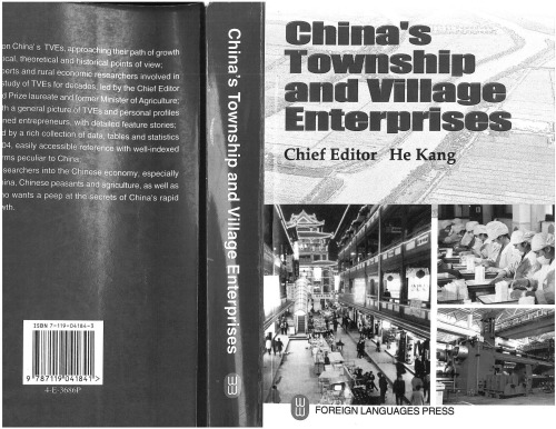 China's township and village enterprises