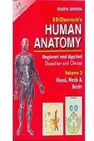 Human Anatomy