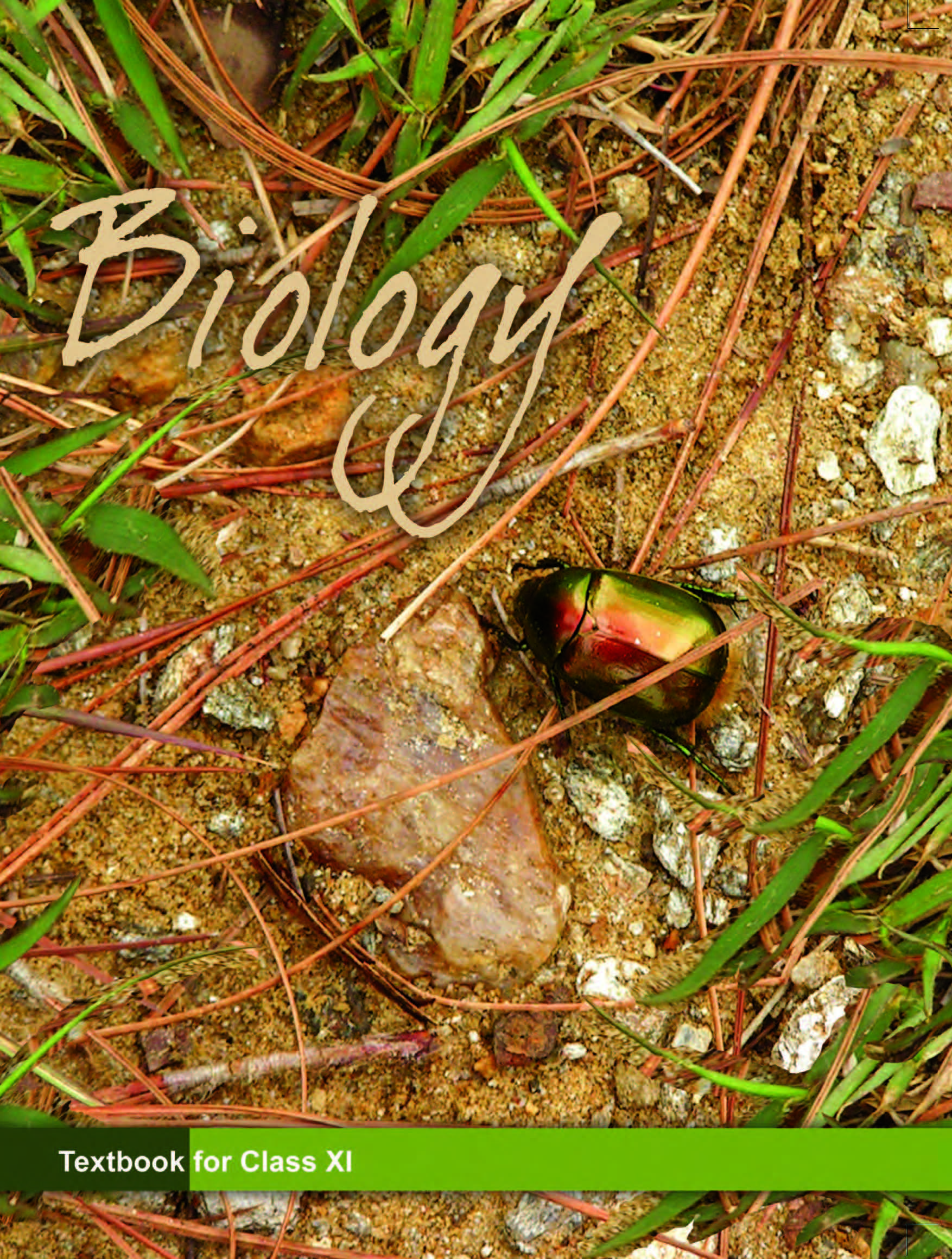 Biology Textbook for Class - 11 - 11080