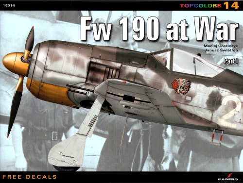 Focke Wulf FW 190 at War