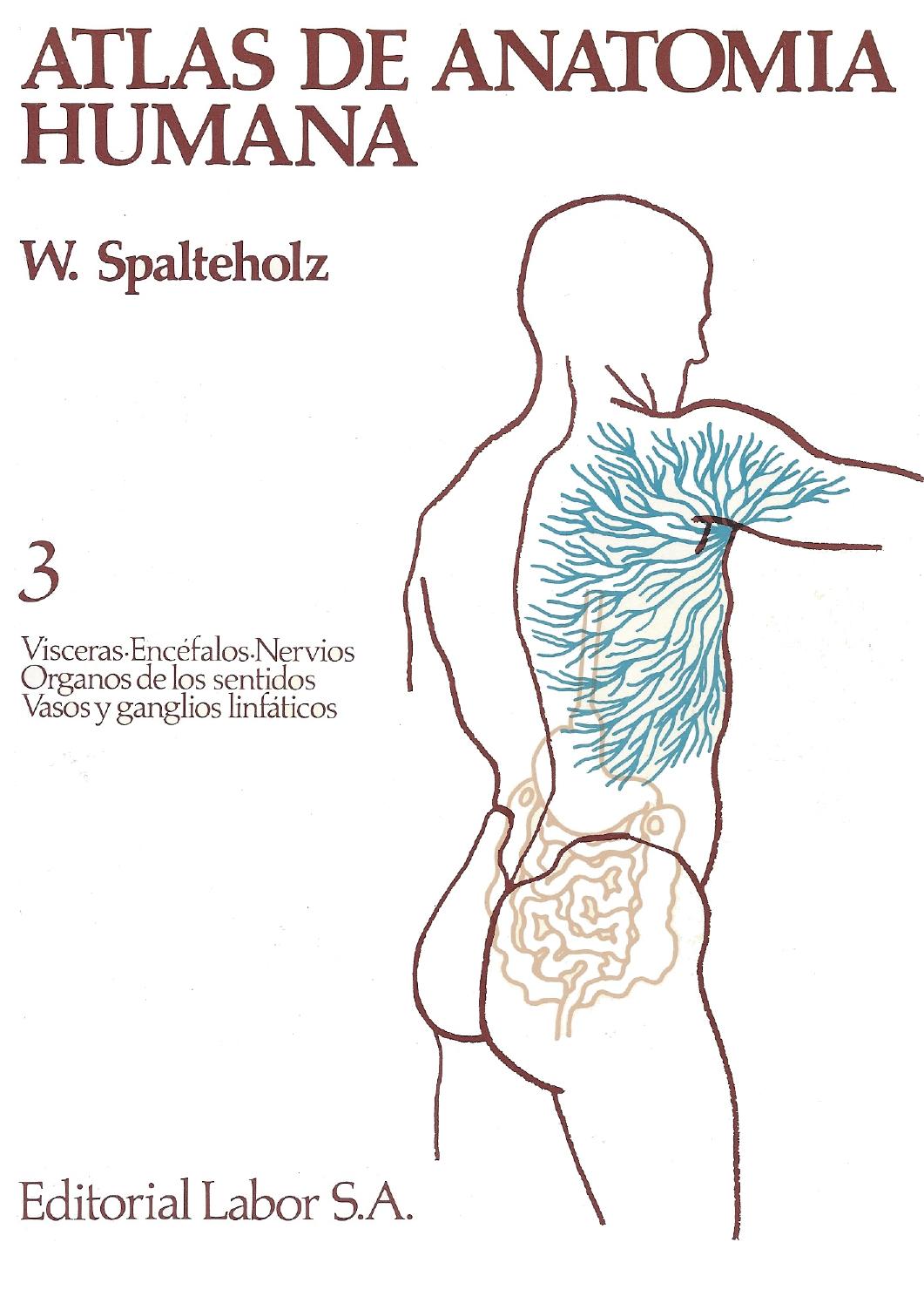 Atlas De Anatomia Humana Volume 3 (Visceras, Encefalos, Nervios, Organos De Los Sentidos, Vasos Y Ganglios Linfaticos)
