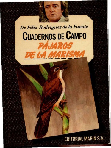 Pájaros de la marisma