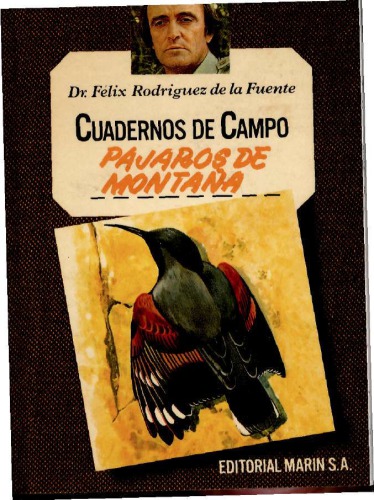 Pájaros de montaña