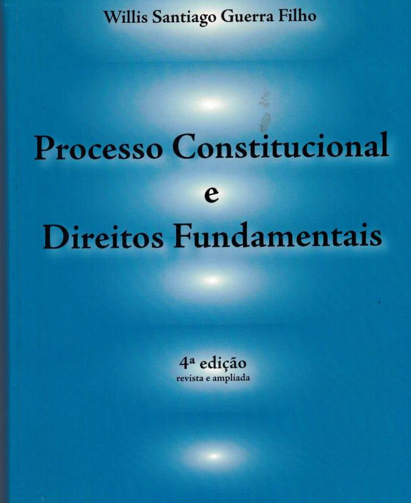 Processo constitucional e direitos fundamentais