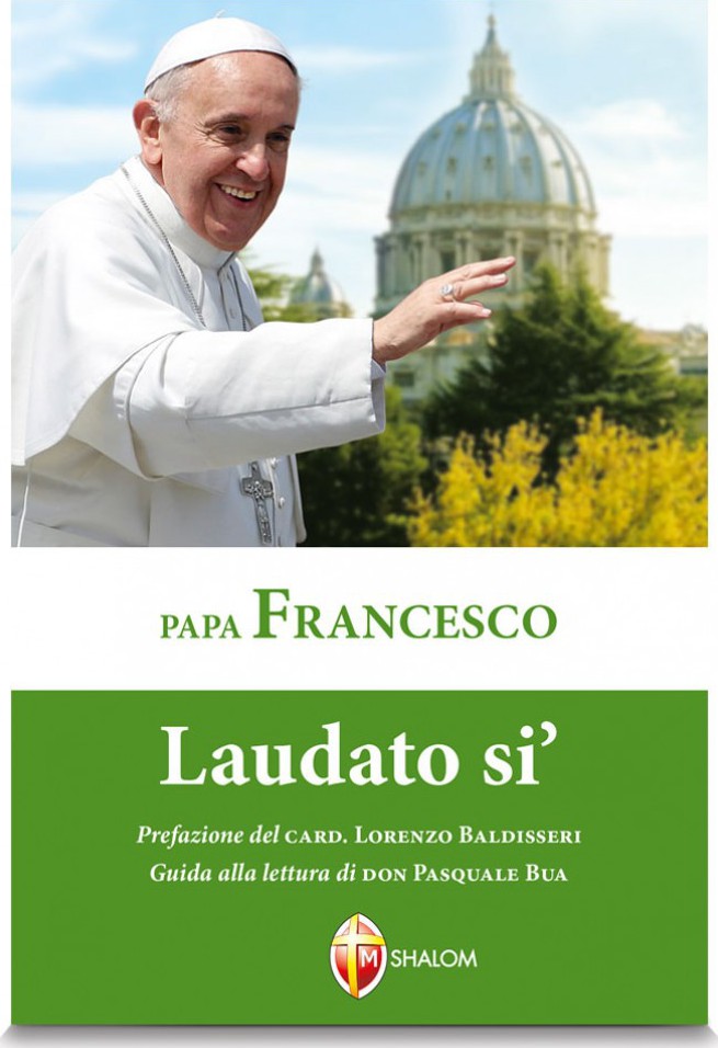 "Laudato sì" : sulla cura della casa comune