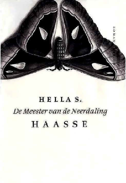 De meester van de Neerdaling