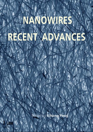 Hybrid Silicon Nanowires From Basic Research To Applied Nanotechnology