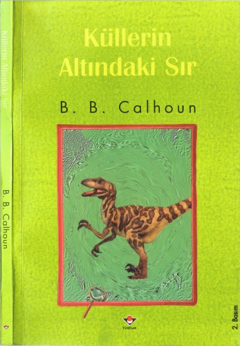 Küllerin Altındaki Sır