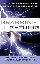 Grabbing lightning : building a capability for breakthrough innovation