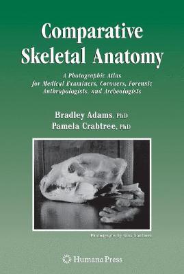 Comparative Skeletal Anatomy