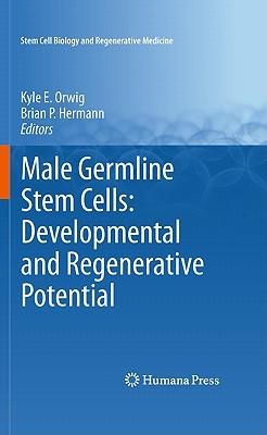 Male Germline Stem Cells