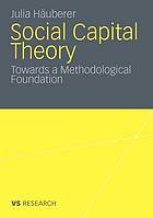 Social Capital Theory : Towards a Methodological Foundation