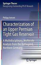 Characterization of an Upper Permian Tight Gas Reservoir : a Multidisciplinary, Multiscale Analysis from the Rotliegend, Northern Germany