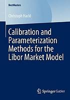 Calibration and parameterization methods for the Libor market model