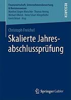 Skalierte Jahresabschlussprüfung