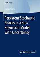 Persistent stochastic shocks in a new Keynesian model with uncertainty