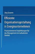 Effiziente Organisationsgestaltung in Energieunternehmen : Praxisorientierte Empfehlungen für das Management im turbulenten Umfeld