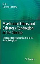 Myelinated fibers and saltatory conduction in the shrimp : the fastest impulse conduction in the animal kingdom