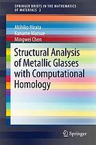 Structural analysis of metallic glasses with computational homology