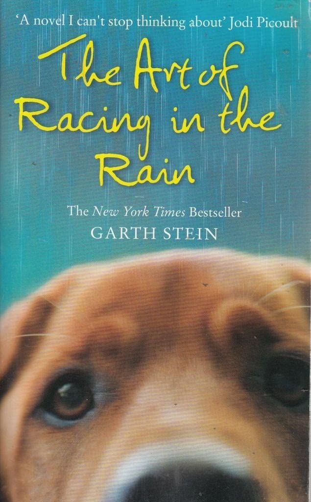 Art of Racing in the Rain