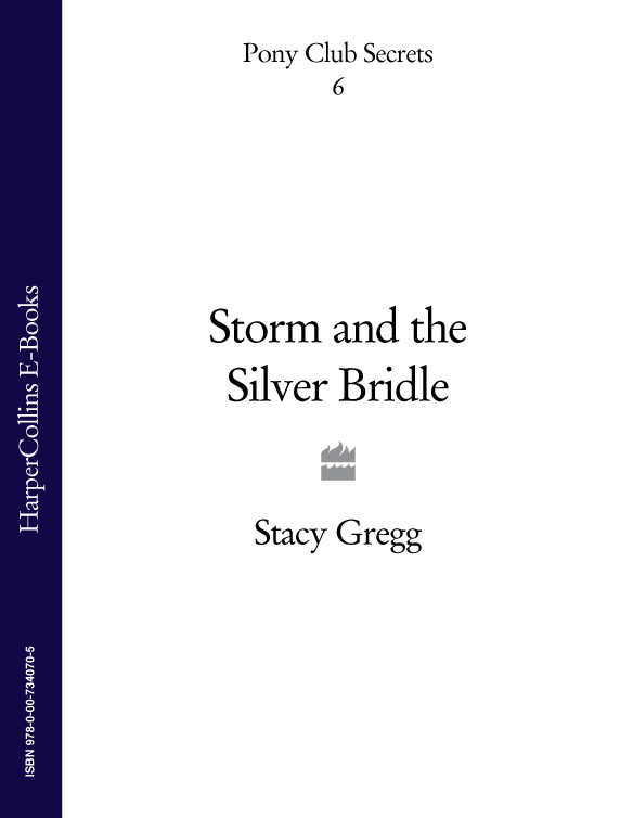 Storm and the Silver Bridle