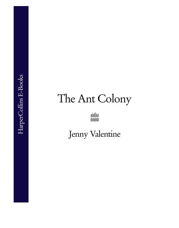 The ant colony