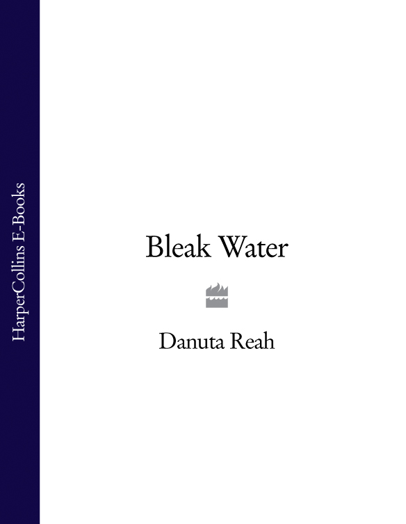 Bleak water