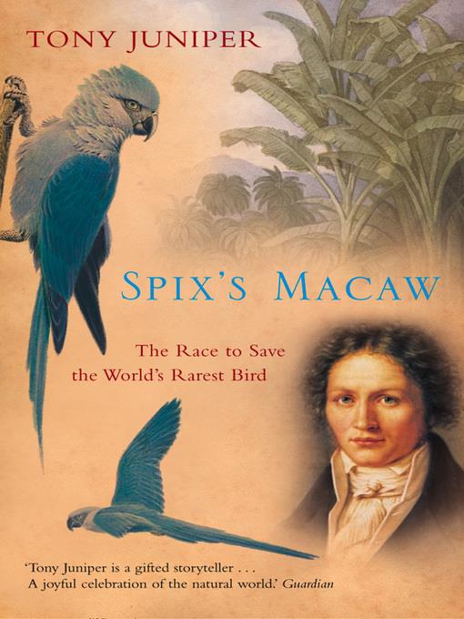 Spix's Macaw