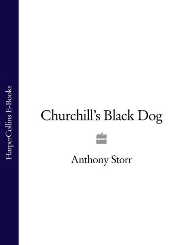 Churchill's black dog