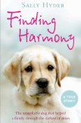 Finding Harmony: The remarkable dog that helped a family through the darkest of times