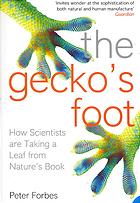 The Gecko?s Foot