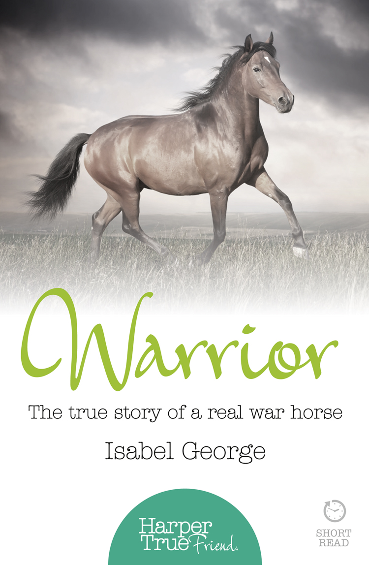 Warrior : the true story of the real war horse