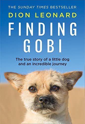 Finding Gobi