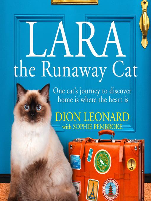 Lara the Runaway Cat