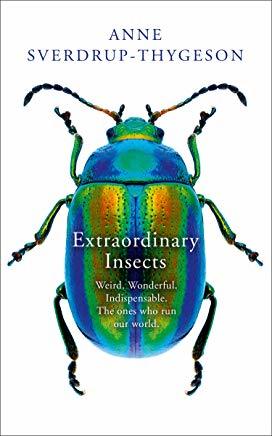 Extraordinary Insects