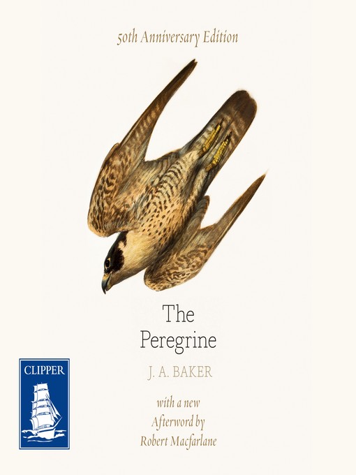 The Peregrine