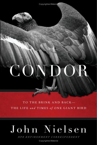 Condor