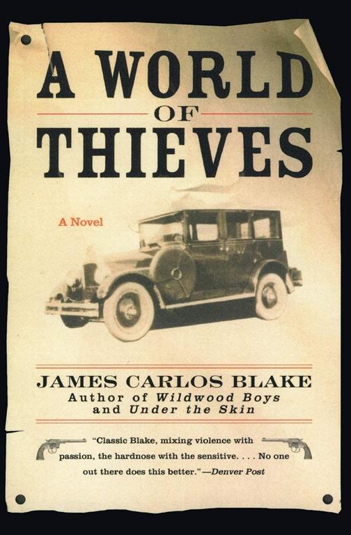 A World of Thieves: A Novel