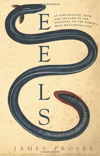 Eels