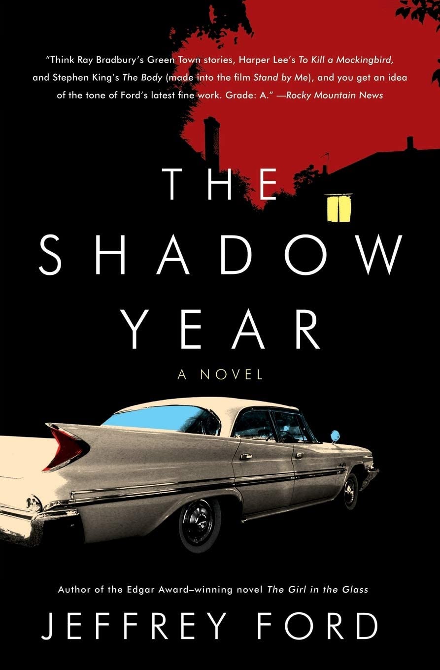 The Shadow Year: A Novel