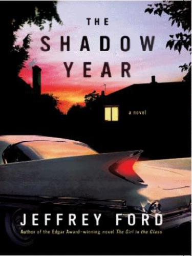 The shadow year : a novel