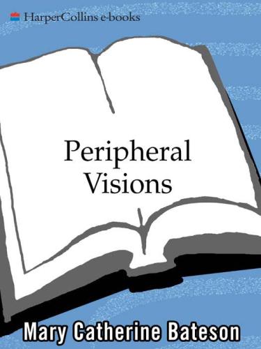 Peripheral visions : learning along the way