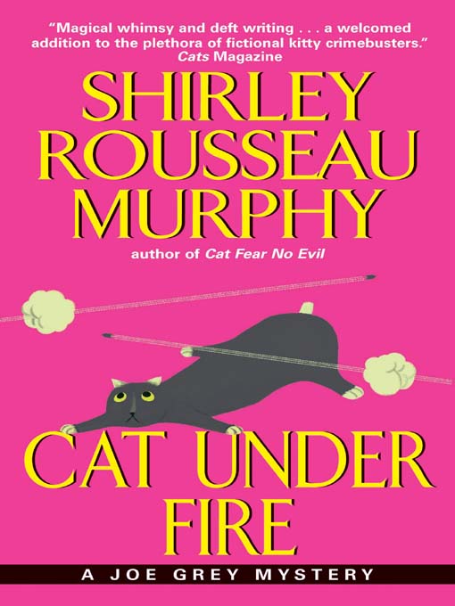 Cat Under Fire