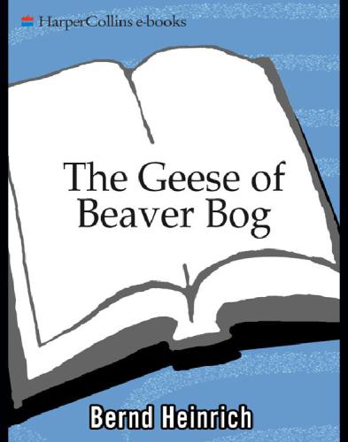 The Geese of Beaver Bog