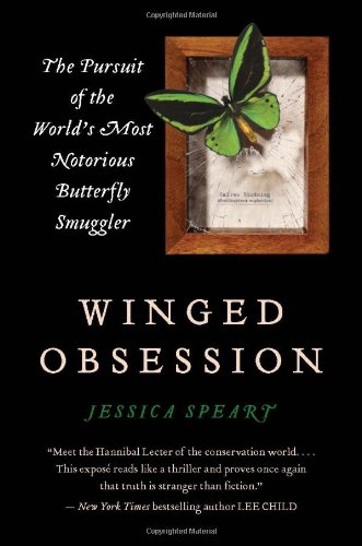 Winged Obsession