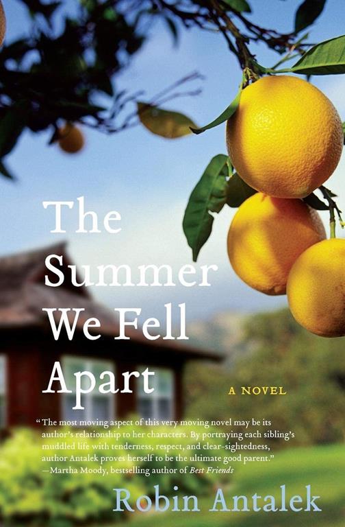 The Summer We Fell Apart: A Novel