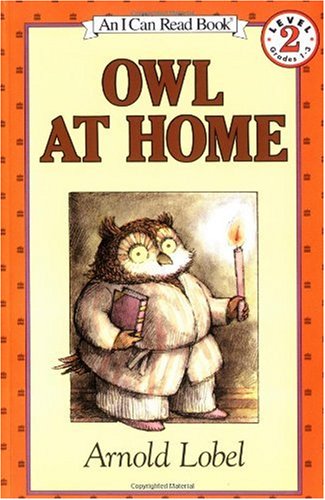 Owl at home